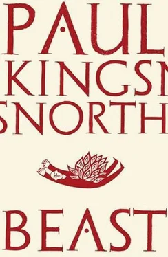 Paul Kingsnorth Beast обложка книги