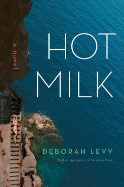 Deborah Levy Hot Milk обложка книги