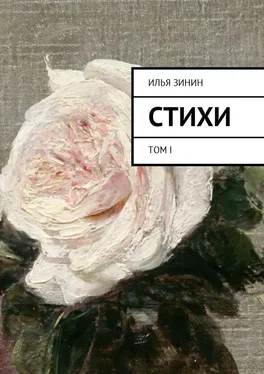 Илья Зинин Стихи. Том I обложка книги