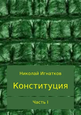 Николай Игнатков Конституция. Часть I обложка книги