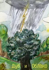 Степан Бердинских - Дуб и облако
