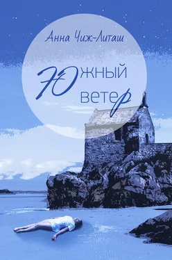 Анна Чиж-Литаш Южный ветер обложка книги