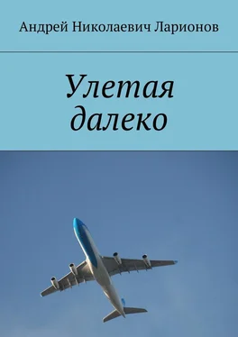 Андрей Ларионов Улетая далеко обложка книги