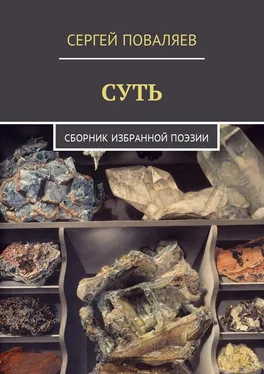 Сергей Поваляев Суть. Сборник избранной поэзии обложка книги