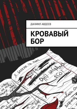 Даниил Авдеев Кровавый Бор обложка книги