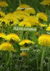 Жюли Кошка - Одуванчики. Рассказы