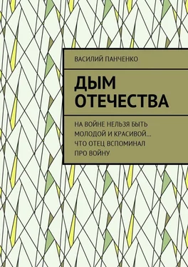 Василий Панченко Дым Отечества. На войне нельзя быть молодой и красивой… Что отец вспоминал про войну обложка книги