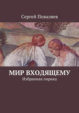 Сергей Поваляев Мир входящему. Избранная лирика обложка книги