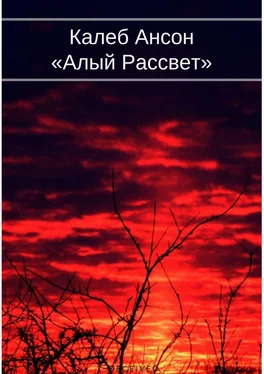 Калеб Ансон Алый рассвет обложка книги