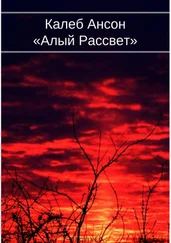 Калеб Ансон - Алый рассвет