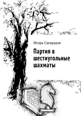 Игорь Сагарадзе Партия в шестиугольные шахматы обложка книги