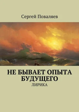 Сергей Поваляев Не бывает опыта будущего. Лирика обложка книги