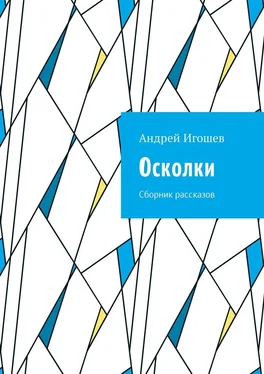 Андрей Игошев Осколки. Сборник рассказов обложка книги