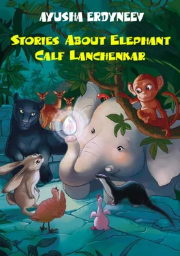Ayusha Erdyneev Stories about elephant calf Lanchenkar обложка книги