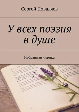 Сергей Поваляев У всех поэзия в душе. Избранная лирика обложка книги