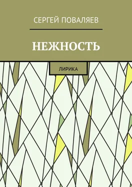 Сергей Поваляев Нежность. Лирика обложка книги