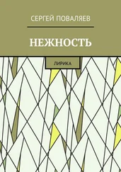 Сергей Поваляев - Нежность. Лирика