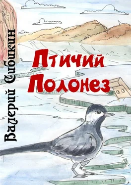 Валерий Сибикин Птичий полонез обложка книги