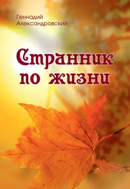 Геннадий Александровский Странник по жизни (сборник)