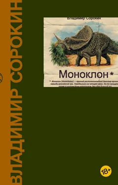 Владимир Сорокин Моноклон (сборник) обложка книги