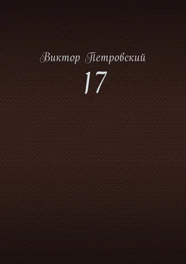 Виктор Петровский 17 обложка книги