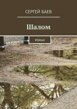 Сергей Баев Шалом обложка книги
