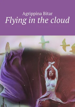 Agrippina Bitar Flying in the cloud обложка книги