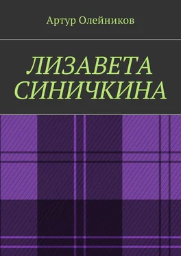 Артур Олейников Лизавета Синичкина обложка книги