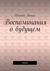 Евгений Панин - Воспоминания о будущем. Стихи