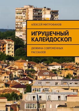 Алексей Митрофанов Игрушечный калейдоскоп. Дюжина современных рассказов обложка книги