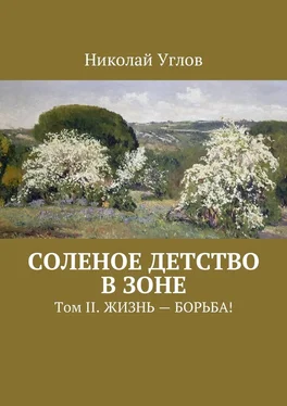 Николай Углов Соленое детство в зоне. Том II. Жизнь – борьба! обложка книги