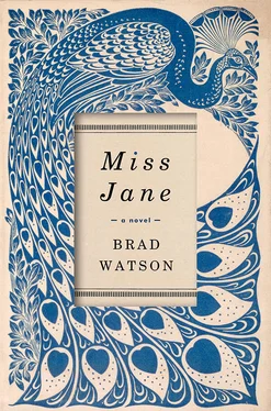 Brad Watson Miss Jane обложка книги