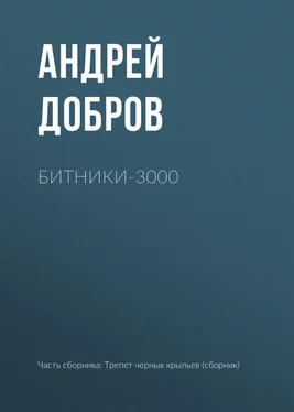 Андрей Добров Битники-3000 обложка книги