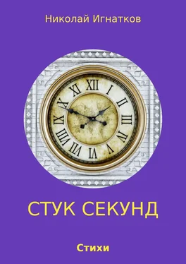 Николай Игнатков Стук секунд обложка книги