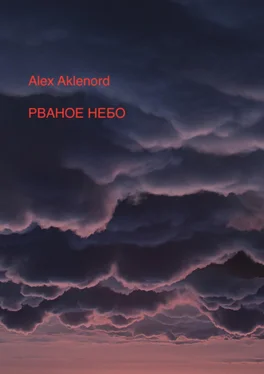 Alex Aklenord Рваное небо обложка книги