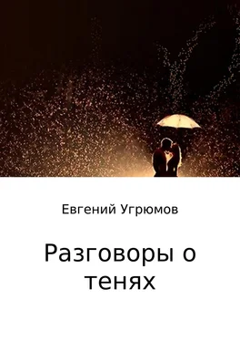 Евгений Угрюмов Разговоры о тенях обложка книги