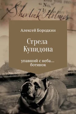 Алексей Бородкин Стрела Купидона обложка книги