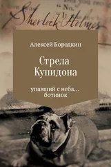Алексей Бородкин - Стрела Купидона