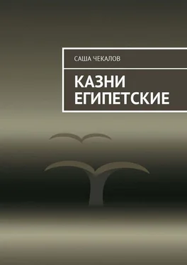 Саша Чекалов Казни египетские обложка книги