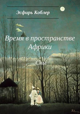 Эсфирь Коблер Время в пространстве Африки. Сны обложка книги