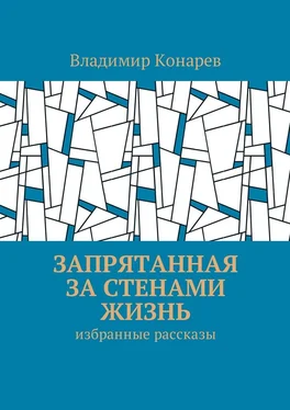 Владимир Конарев Запрятанная за стенами жизнь. Избранные рассказы обложка книги