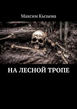 Максим Кызыма На лесной тропе обложка книги