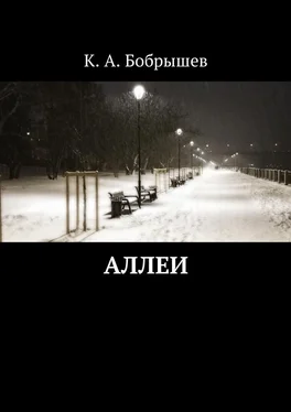 Константин Бобрышев Аллеи обложка книги