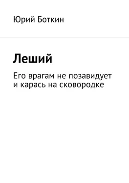 Юрий Боткин Леший. Его врагам не позавидует и карась на сковородке обложка книги