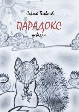 Сергей Бывшев Парадокс. Новелла обложка книги