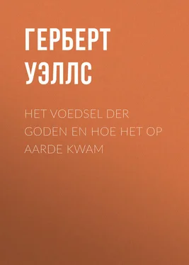 Герберт Уэллс Het voedsel der Goden en hoe het op Aarde kwam обложка книги