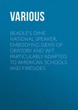 Various Beadle's Dime National Speaker, Embodying Gems of Oratory and Wit, Particularly Adapted to American Schools and Firesides обложка книги