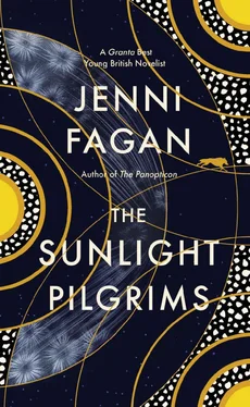 Jenni Fagan The Sunlight Pilgrims обложка книги