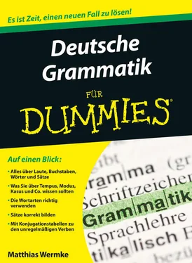 Wermke Matthias Deutsche Grammatik für Dummies обложка книги