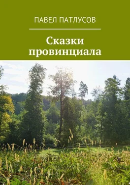 Павел Патлусов Сказки провинциала обложка книги